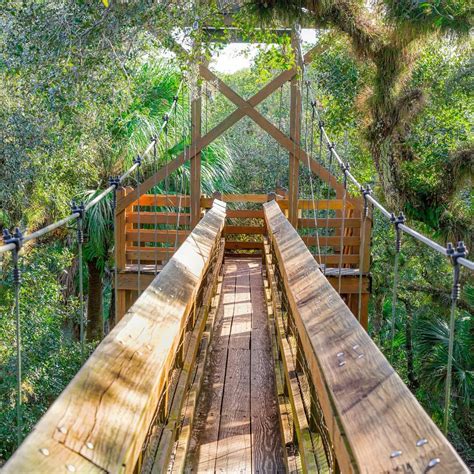 Explore the Great Outdoors of Myakka River State Park - Wellen Park