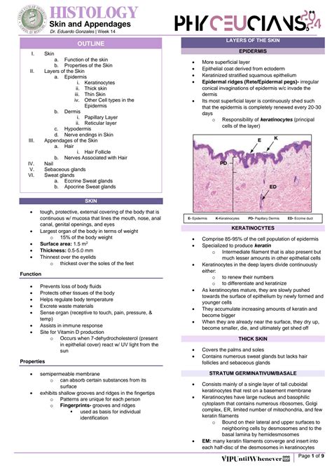 SOLUTION: Histology skin and its appendages - Studypool