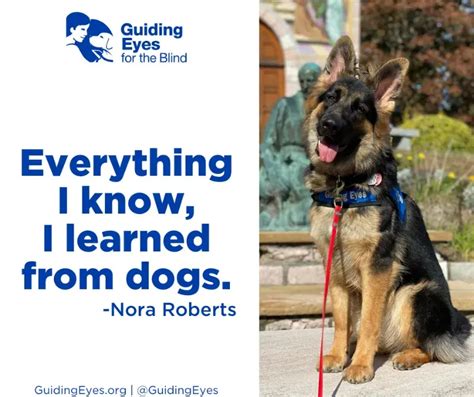 10 PAWfect Quotes to Celebrate National Dog Day 2021