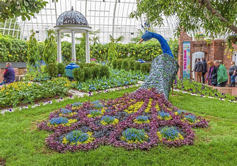 Birds and buds add blast of color to Phipps Spring Flower Show ...