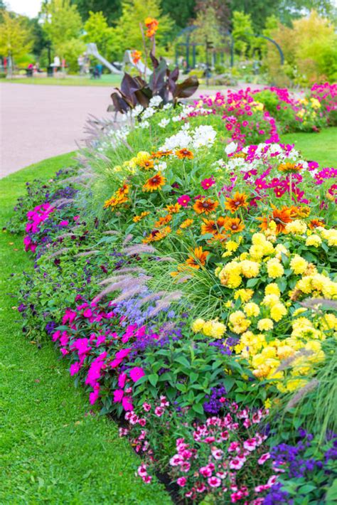 40 Colorful Garden Ideas (Color Explosion)