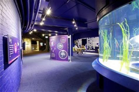 Blue Reef Aquarium | British Attractions