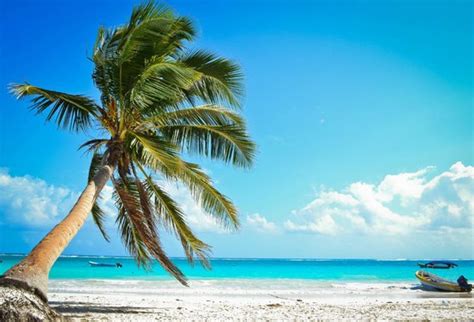 Beaching it with the Locals - Review of Playa Paraiso, Tulum, Mexico ...