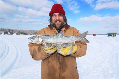 Lake Trout Ice Fishing Tube Baits - Fanatics For Fishing