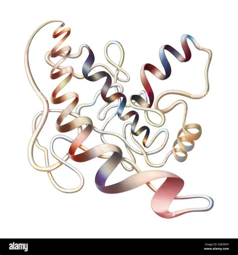 Secondary protein structure hi-res stock photography and images - Alamy