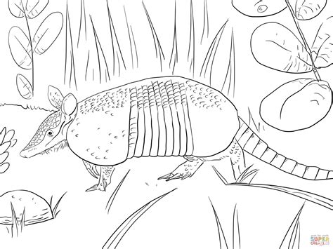 Nine Banded Armadillo coloring page | Free Printable Coloring Pages