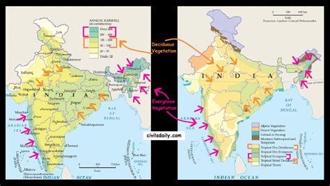 Natural Vegetation and Wildlife- Part 1 | An Overview of Natural Vegetation Types Found in India ...