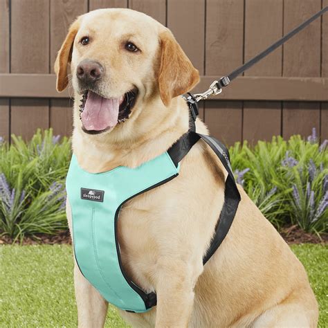 Sleepypod Clickit Sport Dog Safety Harness, Robin Egg Blue, X-Large - Chewy.com