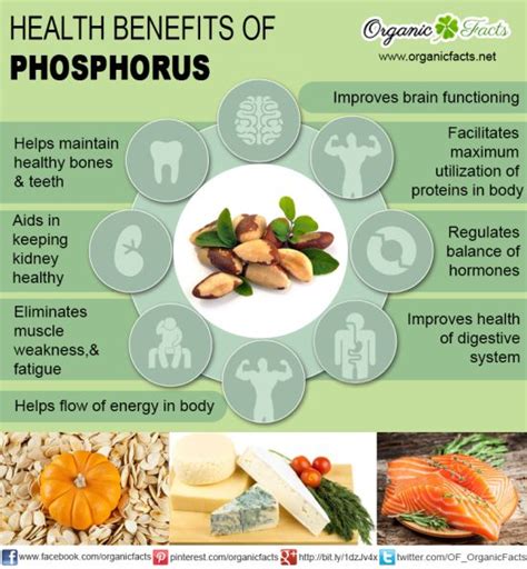 10 Amazing Benefits of Phosphorus | Organic Facts