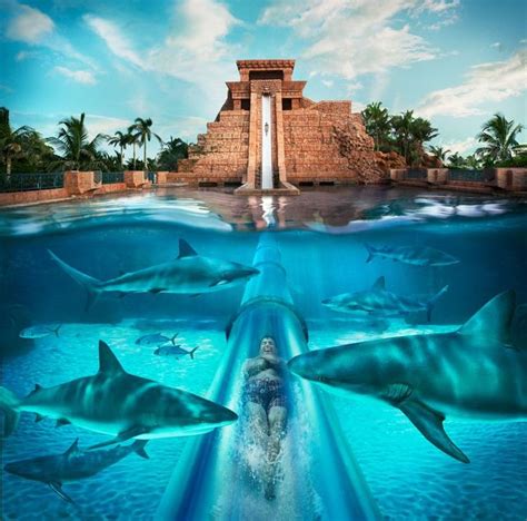 Slide Past Sharks at Atlantis Water Park in 2020 | Atlantis bahamas ...