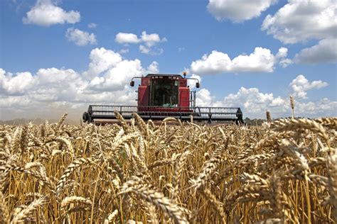 Kansas Wheat Farmer Testifies to Senate Commerce Committee on Data ...