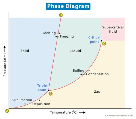 Phase Diagram: Definition, Explanation, and Diagram