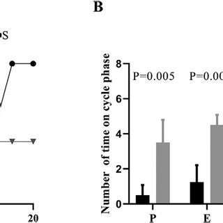 Graphical differences between the oestrous cycle phases of control and... | Download Scientific ...