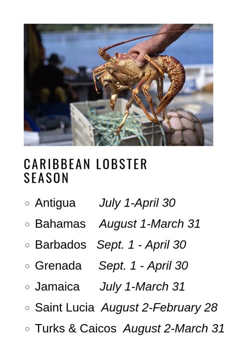 Caribbean lobster season | Four Seasons Travel LLC