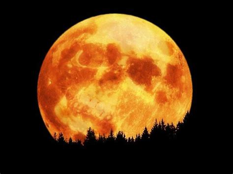 Harvest Halloween Moon | Halloween moon, Full moon pictures, Good night moon