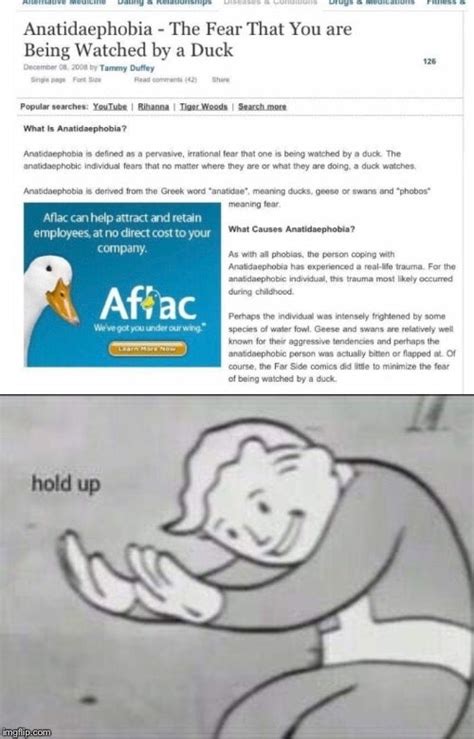 Aflac duck is always watching : r/memes