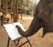 e is for elephants: Elephant Trunk Anatomy 101