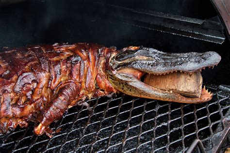 Eating alligator growing in popularity in Houston and Gulf Coast