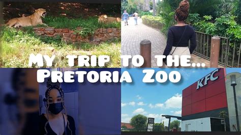 EXPLORING THE PRETORIA ZOO (National Zoological Garden)🦒 | SOUTH AFRICAN YOUTUBER - YouTube