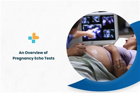 An Overview Of Pregnancy Echo Tests - Ayu Health