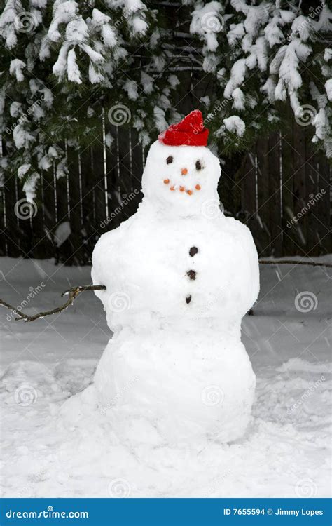 Snowman during Snow Storm stock photo. Image of merry - 7655594