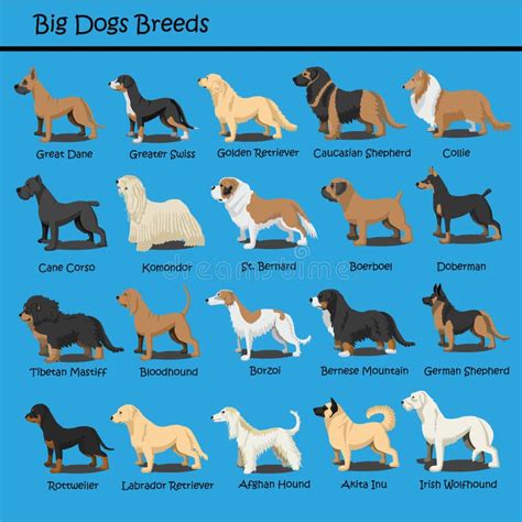 Cartoon Dog Breeds Chart