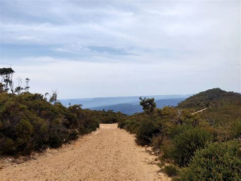 Best Mountain Biking Trails in Blue Mountains National Park | AllTrails