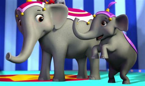 Category:Elephant Galleries | PAW Patrol Wiki | FANDOM powered by Wikia