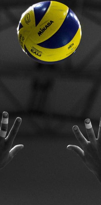 Update 79+ volleyball player wallpaper best - songngunhatanh.edu.vn