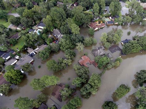 The Aftermath of Hurricane Harvey – Shark Attack