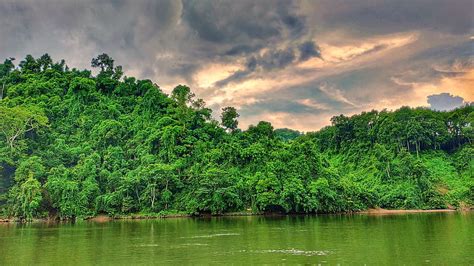 Lake, jungle, lake view, natural, nature, water, HD wallpaper | Peakpx