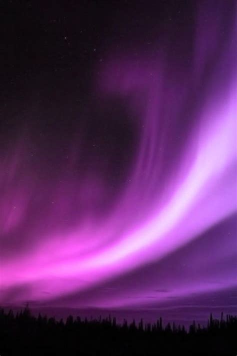 Captivating Purple Aurora Borealis