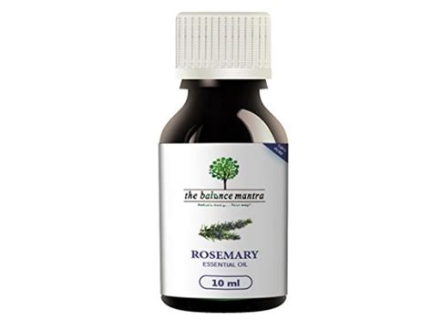 Top 10 Best Rosemary Oil Brands in India: Prices and Reviews (2022)