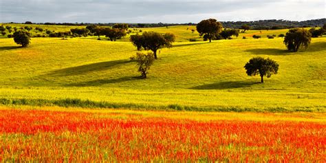 Discover the Alentejo - Caminos touring holidays in Portugal