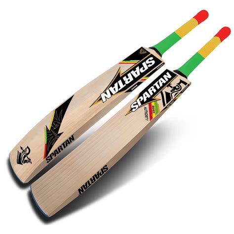 Top 15 Best Cricket Bat Brands 2024