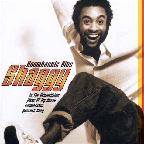 Best Of Shaggy The Boombastic Collection