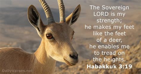 Habakkuk 3:19 - Bible verse - DailyVerses.net