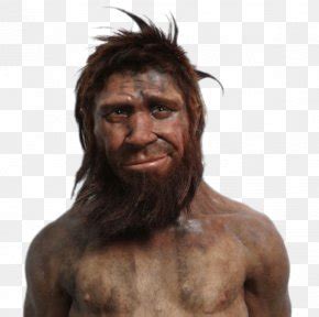 Chimpanzee Neanderthal Human Evolution Human Skeleton, PNG, 500x700px, Chimpanzee, Adaptation ...