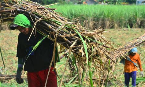 ID FOOD Tingkatkan Rantai Pasok Pangan Dengan UMKM