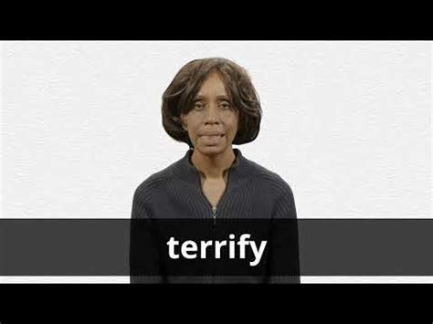 TERRIFY definition and meaning | Collins English Dictionary