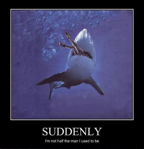 Best Shark Memes | POPSUGAR Tech