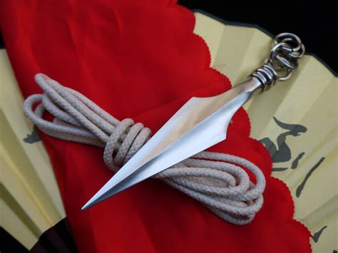 Amazon.com : Rope Dart/Sheng biao/Chinese Wushu Taichi Equipment/Stainless Steel Material ...