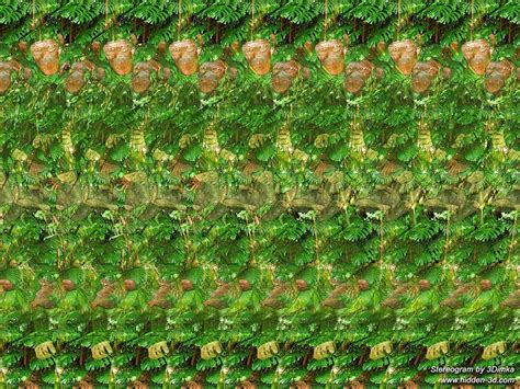 Stereogram by 3Dimka: Meanwhile in jungle. Tags: chimps, chimpanzee, banana, funny, fall, hidden ...