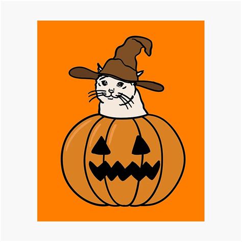 Halloween Cat Meme | canoeracing.org.uk