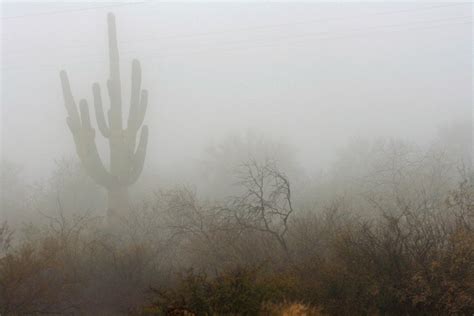 Desert Fog Photograph by Wendi Curtis - Fine Art America