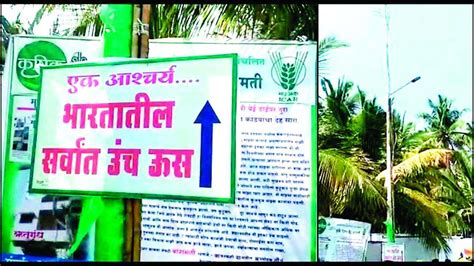 40-feet-tall sugarcane becomes centre of attention in Agricultural expo in Baramati