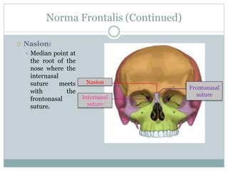 Anatomy head and neck(norma frontalis) | PPT