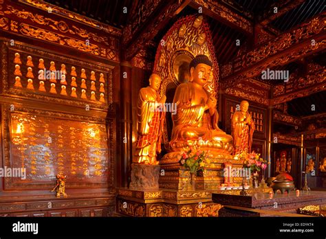 Golden Buddha statue and relics inside the Giant Wild Goose Pagoda, X ...