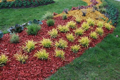 17 Types of Mulch - Which One is Best for You?