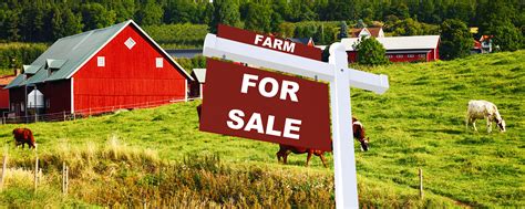 farm-for-sale - Farm Grants | Farm Funding